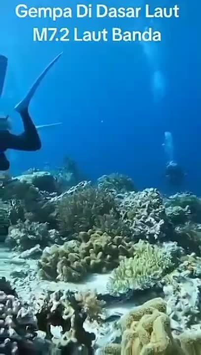 ������� �� ��������� ����� ��������� ������������� ��� �����