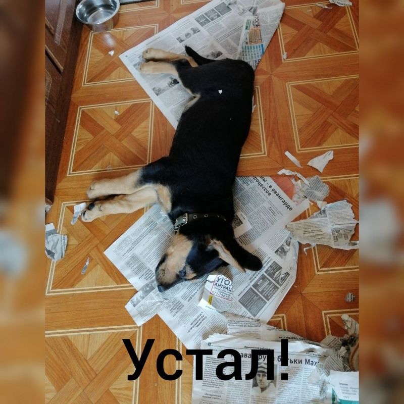 "������� �� ������������". ����������������, �������, �������� � �������, ������� ����� � ������� �����������, �...