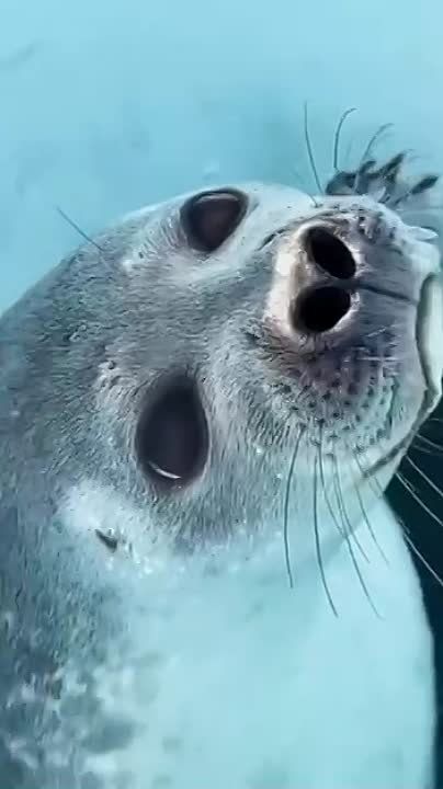 ������ � ��������� ����, ���������!