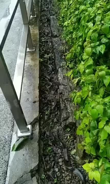 � ����� ����� ������ ��������