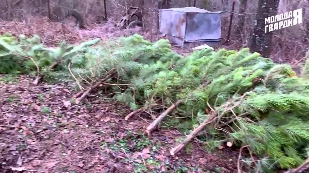 � ���� ������� ������� ��������� �������� ������� ������ ������ � ������������� ����� ������������ �������� ��� ����� �� ���������