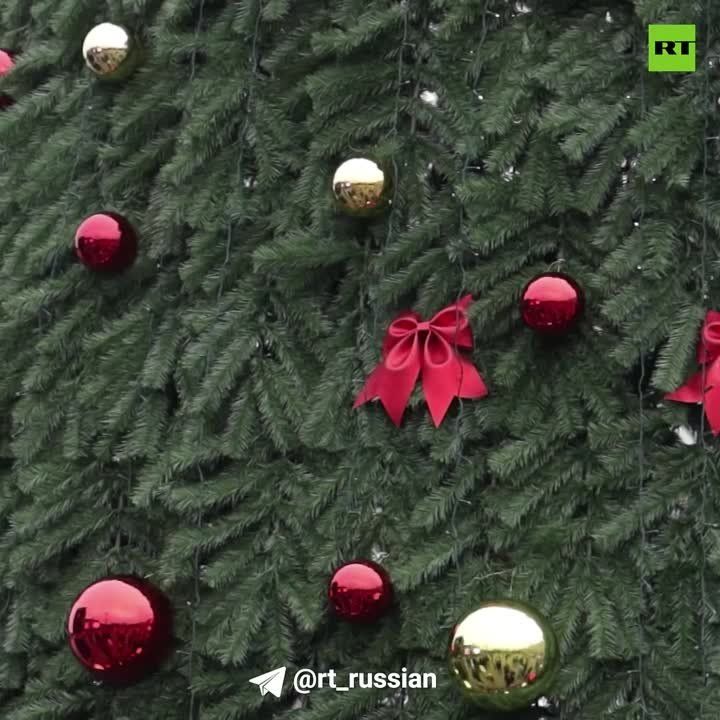 � ��������� ������� ������� ��������� ���������� ����