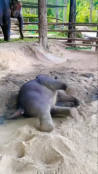 ������ ����, ���������!. �������� ������������� ����������� ���, ����������� ����������, ������� ��������, �������� ������, �������� ������, �������� �����������, ������ � ����� �� ���� ����