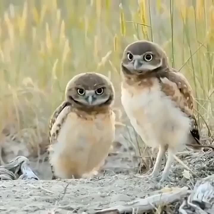 � ������ �����, ���������!
