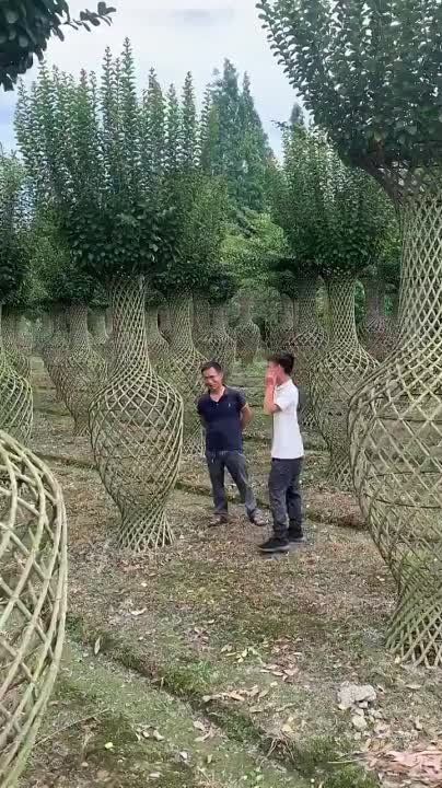 ��� ����� ��� �� ��������� ������
