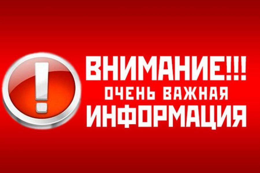 ����������� ������� ��� ����� �� �������� � ������������� � 2024 ���� ����� �������� � ���������� ��������
