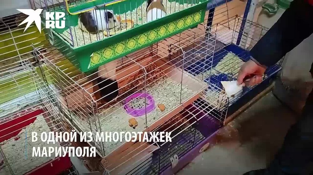 �������� ��� � ������������� ��������