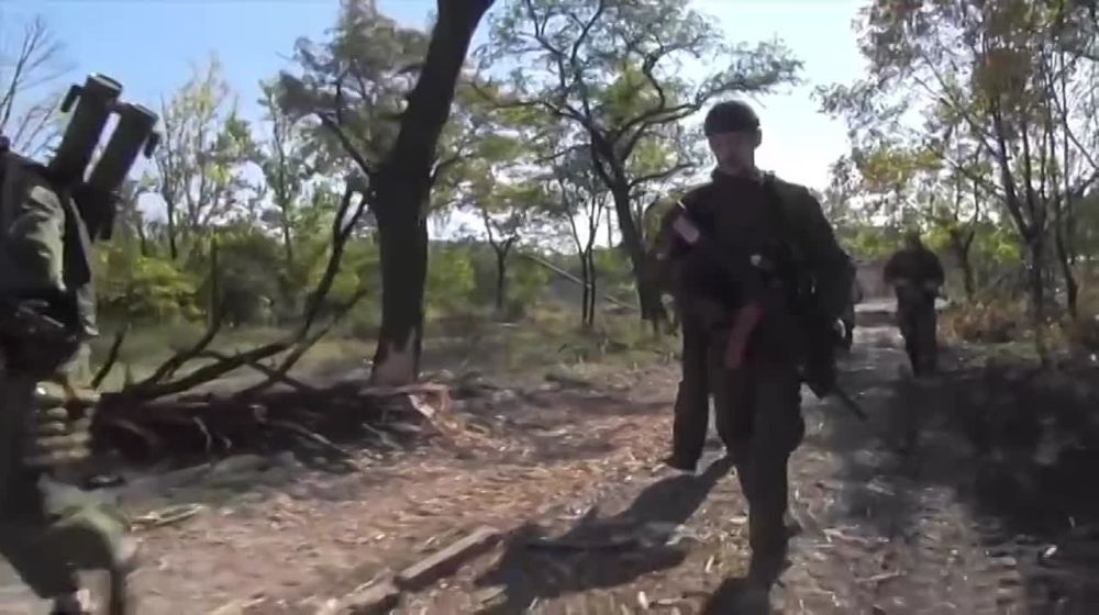 ������ ��� ����� ��������� 242 ��� ��� �� �������� ������� ����������� ������� ����� �����