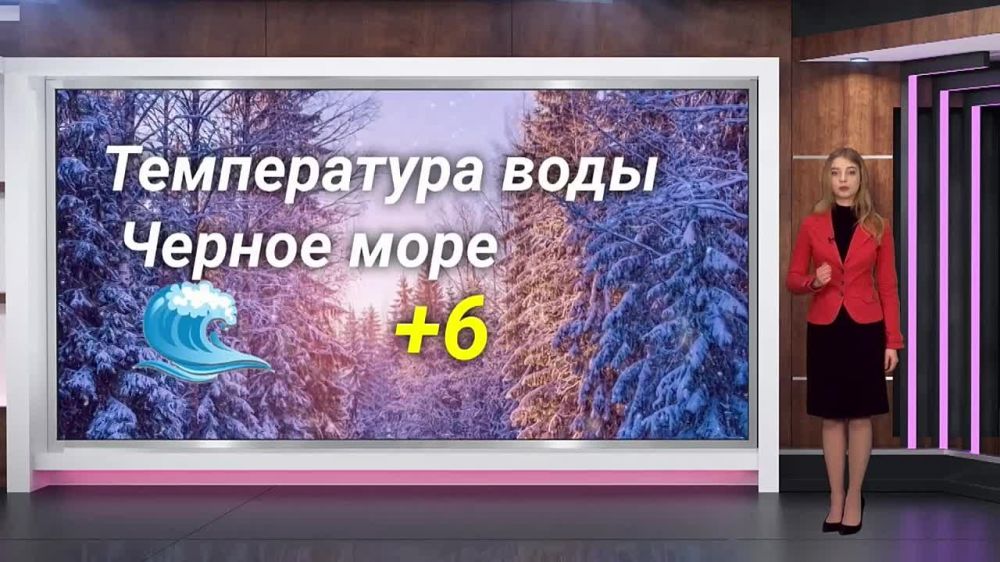 ������� ������ �� 08.02.2024