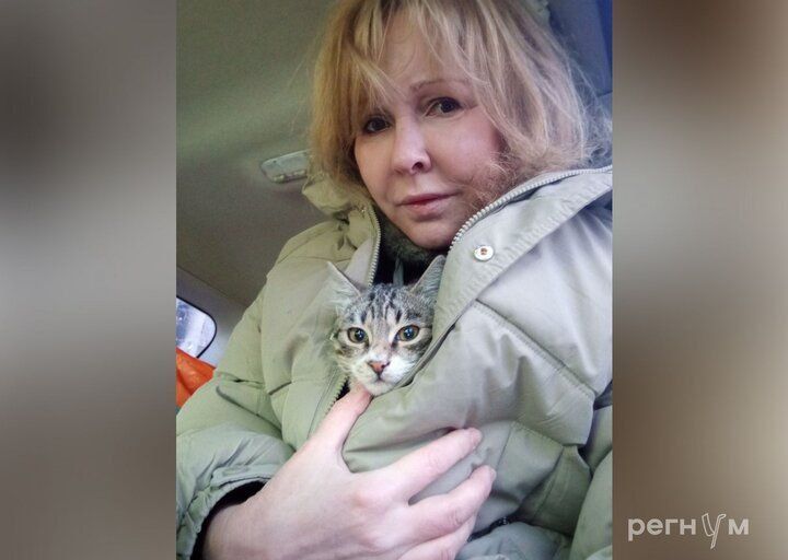 ������ ��������: ���������, ��������� �� ����� �� ������ �����, �������������� ���, ��� ��� ��������� �����, ����������� �� �������, ��������� � ���������