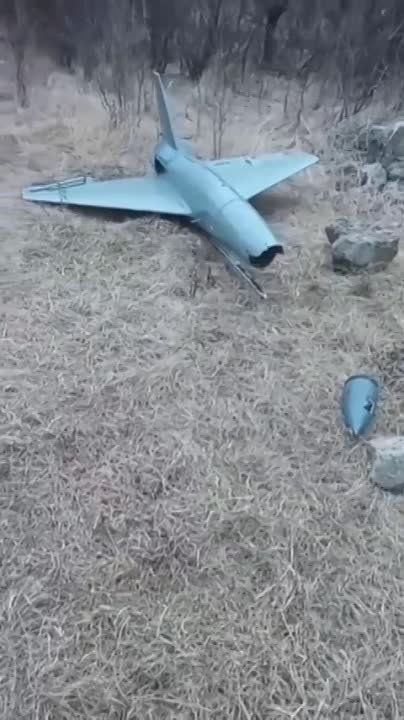 ���������� ���������� ����������� ����������� � ���