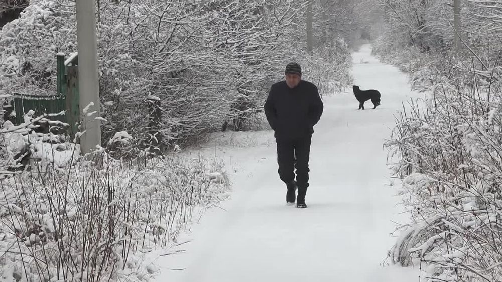 ����� �����: ������������ ������� ������ ��������� ��������� � �������� ������������� ��������