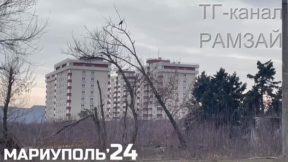  :                  