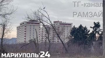  :                  