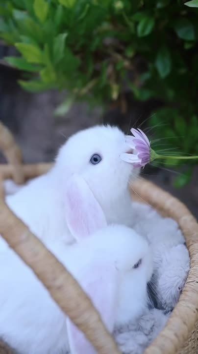 � ������ �����, ���������!