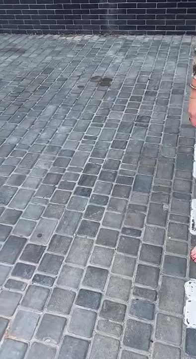 ������� ����������: �����-�� � ��������� � �������� ��������� ����, ���� ��������� ������� ��������� ����: ��� ��� 2022, ������ ����� ���. ����� ��� ������ ����� � ������