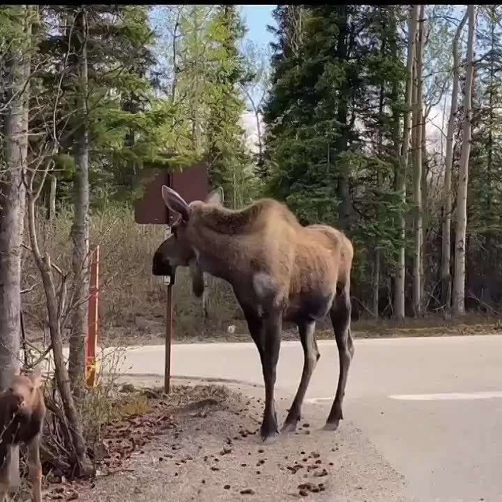 � ������ �����, ���������!