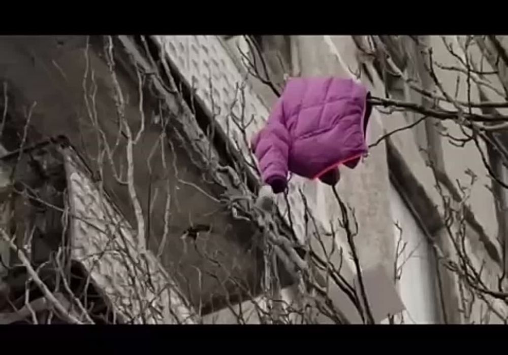  : .    20   ,      ...