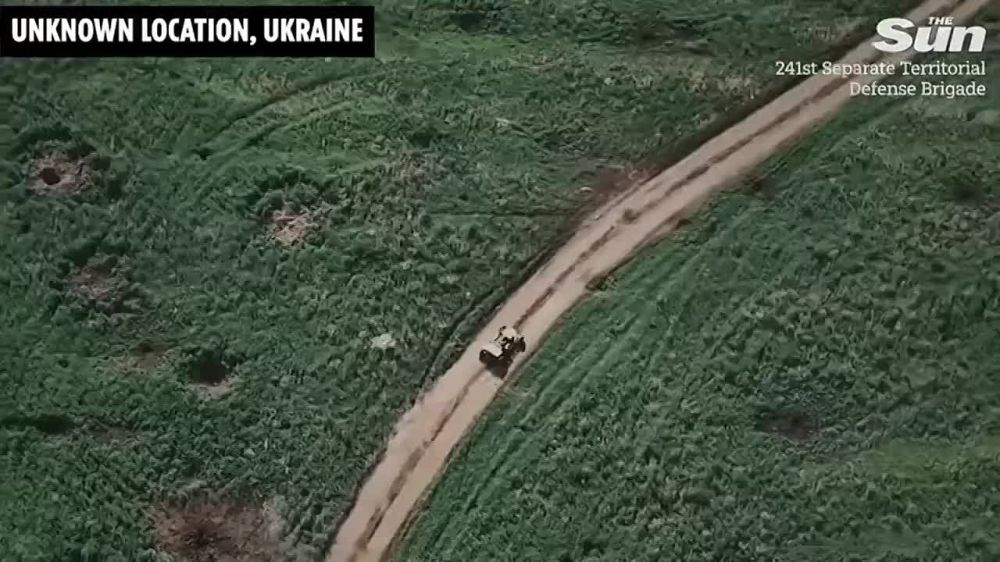     *.        -  :