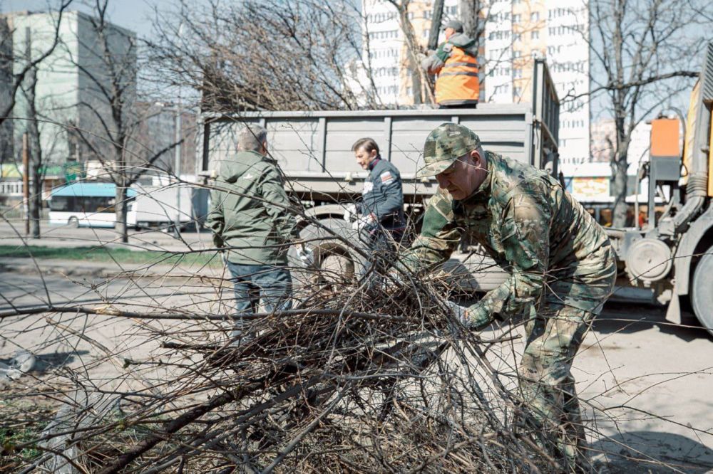 ���� ������: ������ ������� � ������������� ����������