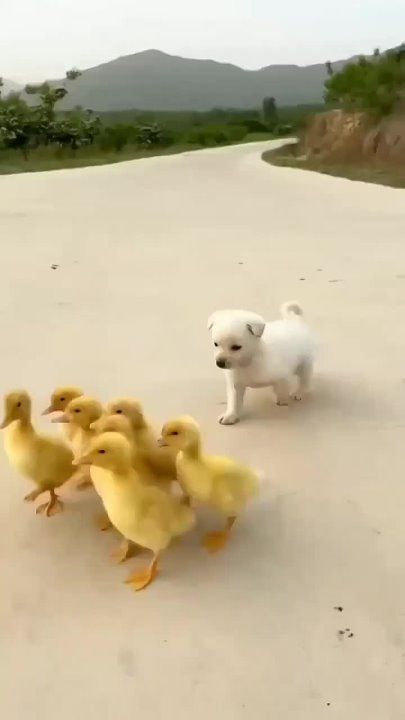 � ������ �����, ���������!