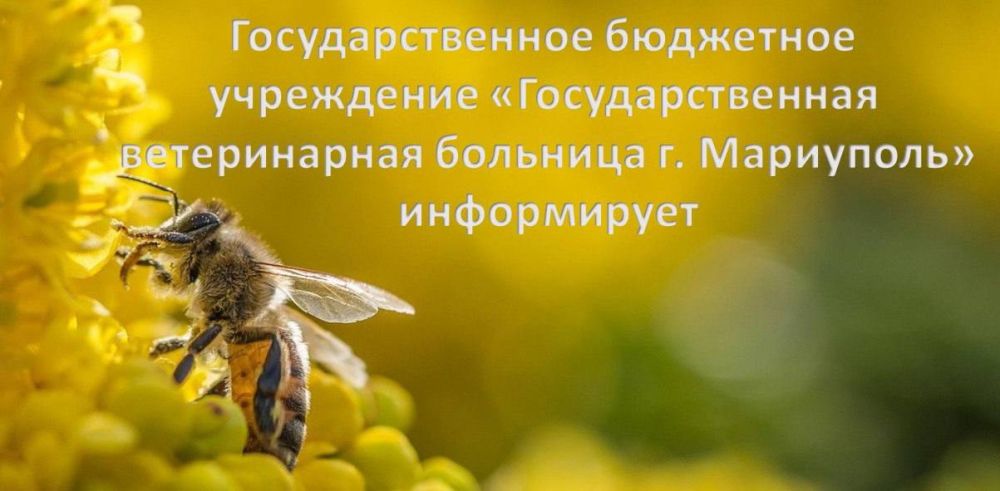 ��������� ������, ������������ ����������� ���������� ���� � ����� �� ���������������, ����������, ���������� � ������������� ��� �������� �������������������� ������������� �������� � ��������� ��������� ������������