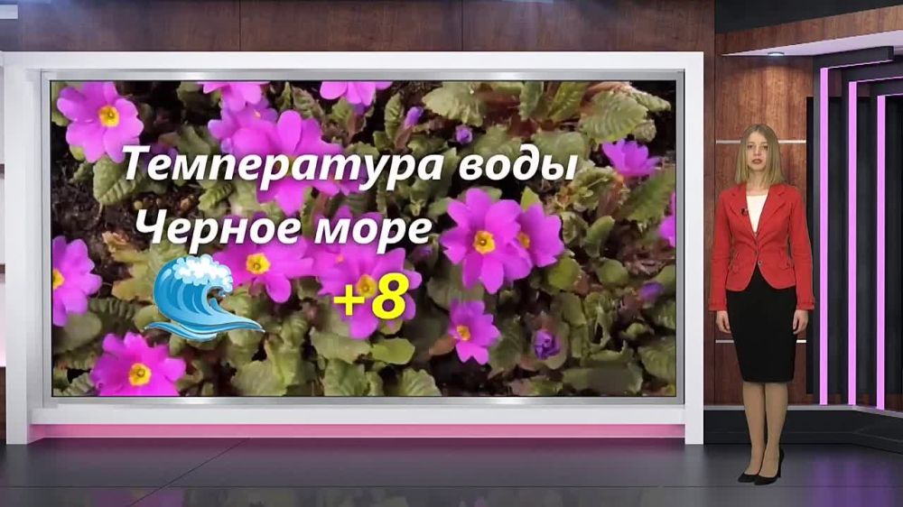 ������� ������ �� 07.04.2024