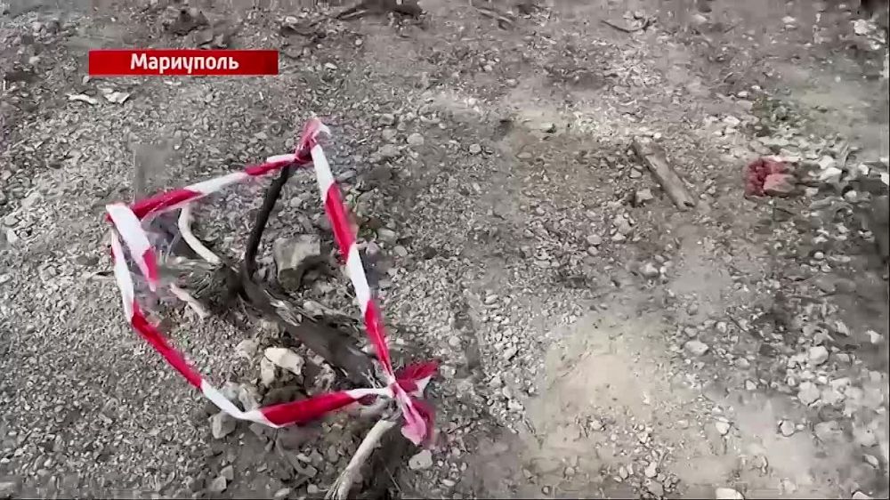 ������ ��� ������������� ��������������� ���������� � ���������