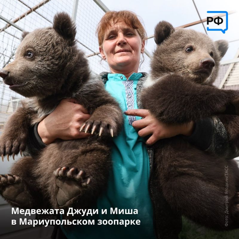 � �������� ��������� ������������� ������� ��������, � �� ���������� ��������� ������� ���������� �������-�5�