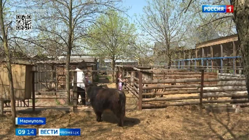 � ������������� �������� ���������� ���� ��������� ��������