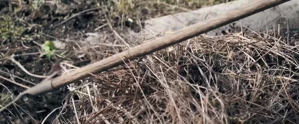 ���������� ��������������: ������������ ���������������