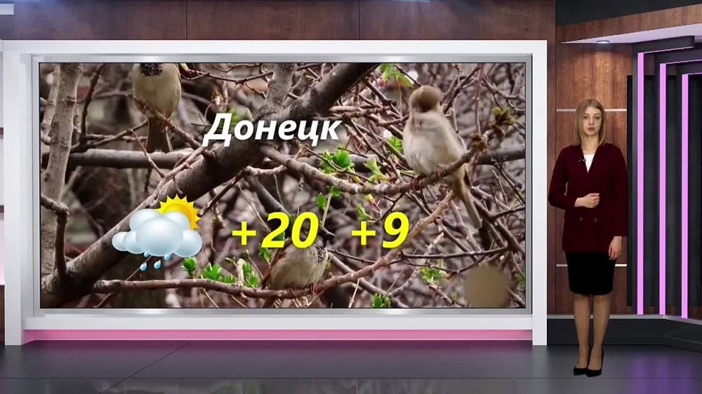 ������� ������ �� 23.04.2024
