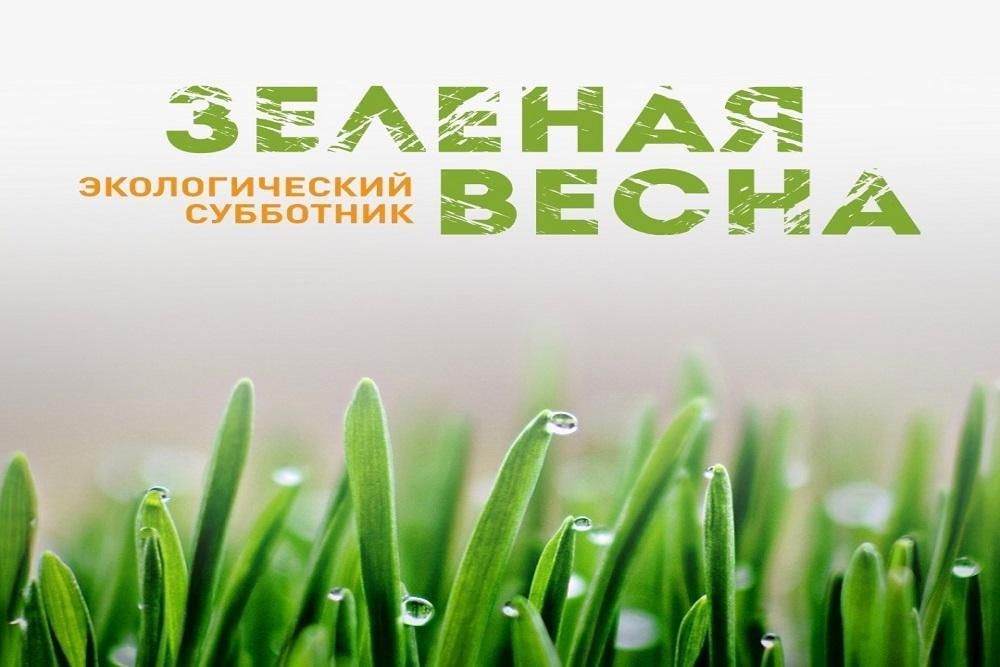 � ��� ������� ��������� �������� ����� 2024�