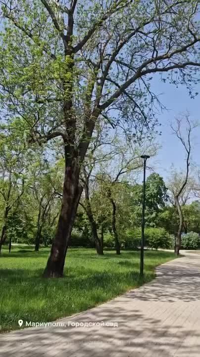 ���������� �������� ������������� ��������� ���