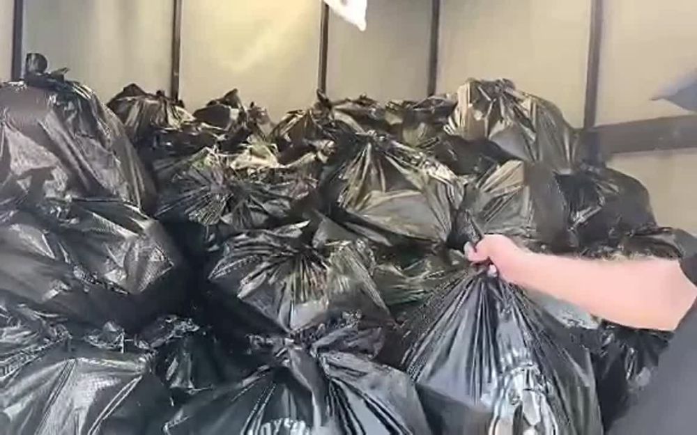 �����-��������� �������� ��������� � ���������