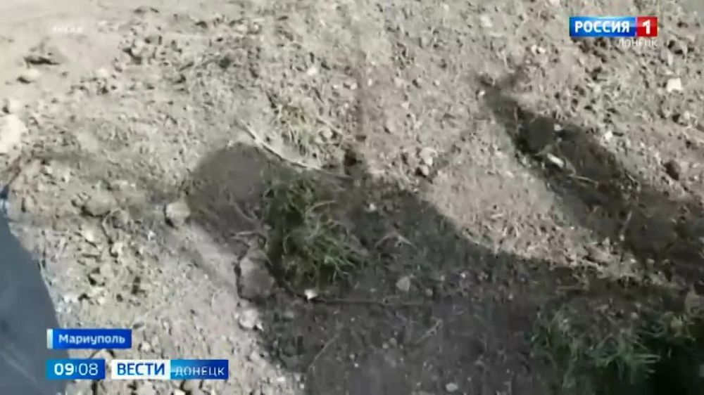 ������ ��������� ������������ ���������