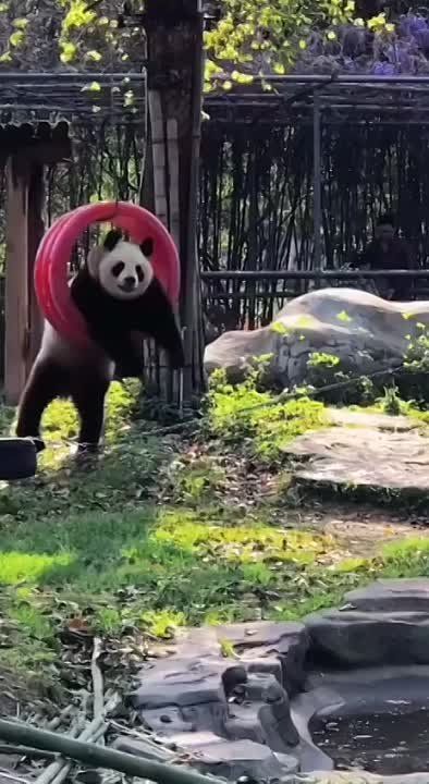 � ������ �����, ���������!