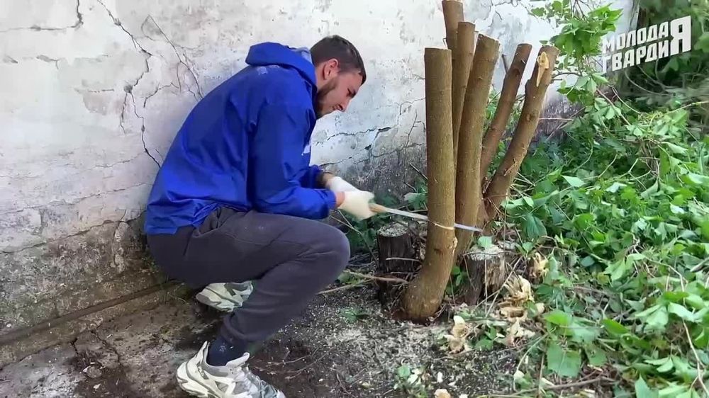 ���������. ��������� �������� ������� � ������������ ����� ������� ������ �������� ������������ �������������� ������...