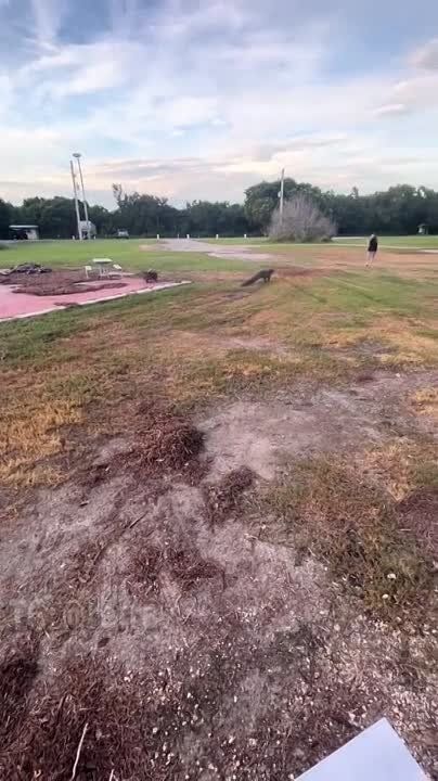 �� ������� �� ������� ����� ������ � ���������, ������ ��� ��� ������� ����� ������ ����� ������������ � ����� �� ������