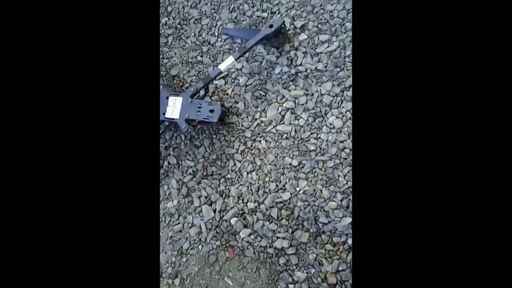 �� ��������� ������ ���� ������ �� ��� ��� ��������, ���������, ��������� � ��������� ���������� � ����������� 197 ���������� �������������