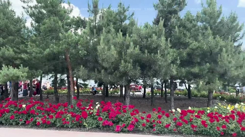 � ��������� �� ������ �������� ����������� ��������� �� ���������
