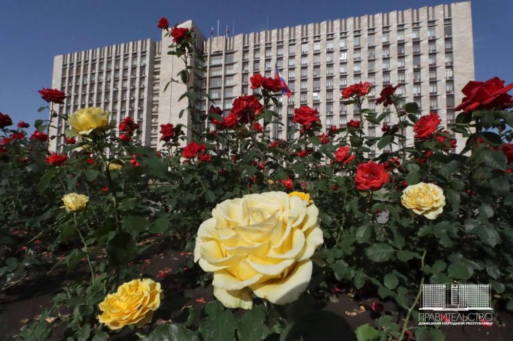 �������� ������������� ������ ������������ ���� �� ����������� ���������� ���������������