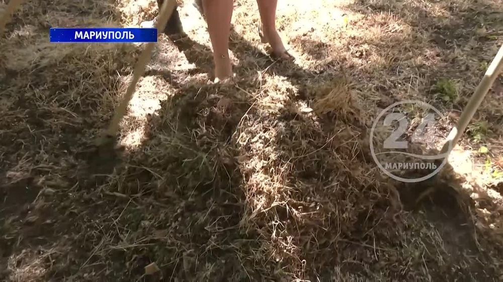 В Мариуполе провели субботник в канун Дня России