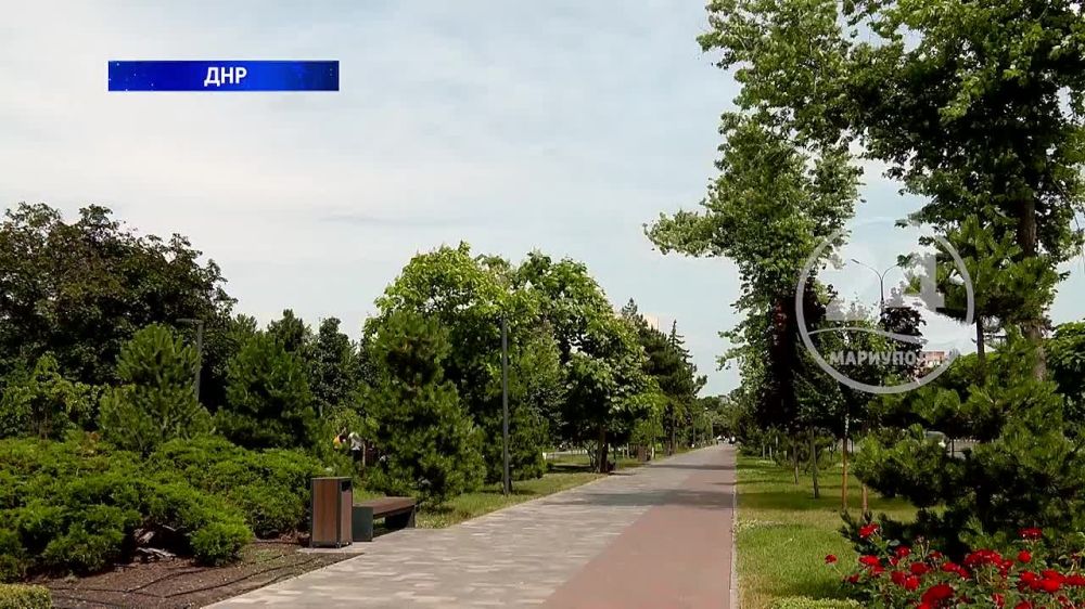 ��� ��������� ����� �������� ������������� ����� ��������������� � ���? 14.06.2024