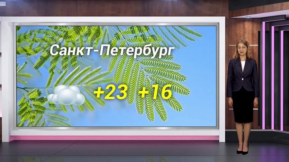 ������� ������ �� 30.06.2024