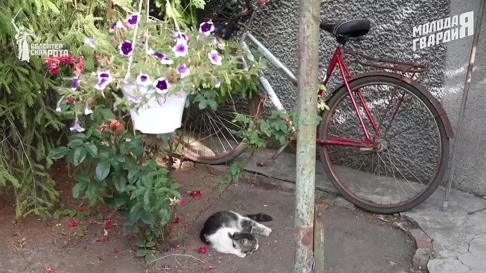 � ��������� ��������� �������� ������� ������ ������ ���������� ����������� ����� � ����, ��������� � ����� ����� 60 ���