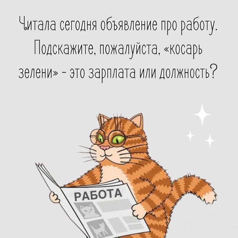 ������� �����. ��������� ���������-24