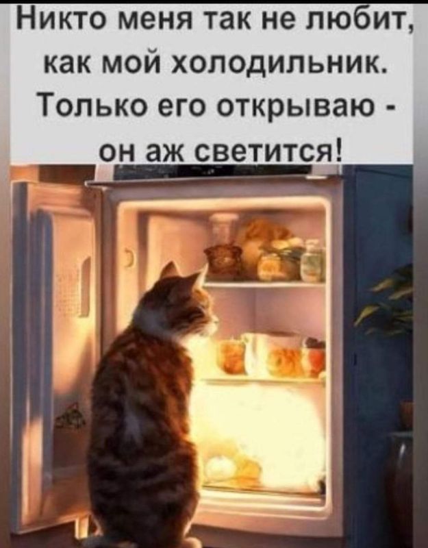 ������� �����. ��������� ���������-24