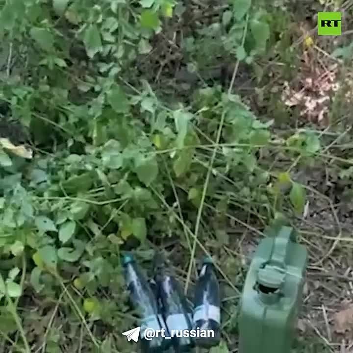 ��� ��������� ��������� ������, ������� ����������� �� ������ ������� ������ ����������� ���� � �������