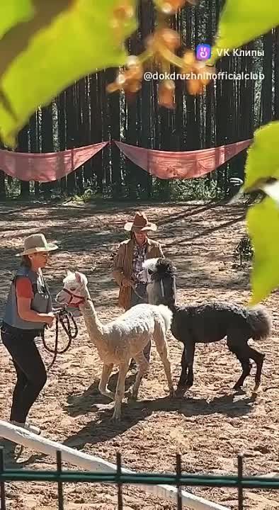 ��� ����� �� ��������� � ���������� ������� ������ ���